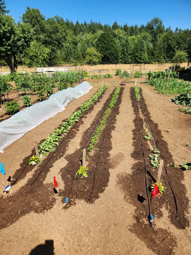 Top-rated outdoor landscaping for outdoor upgrades in Eugene, OR by Rexius