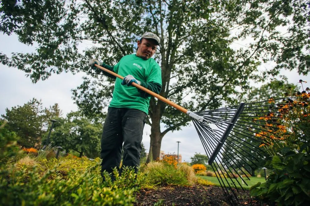 Custom yard cleanup service in Eugene, OR - Rexius