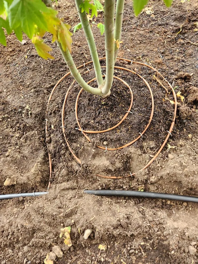 Trusted landscape design in Eugene, OR by Rexius