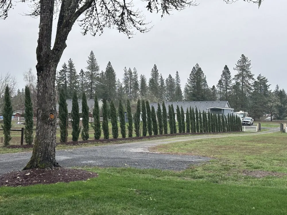 Custom lawn care service in Eugene, OR - Rexius