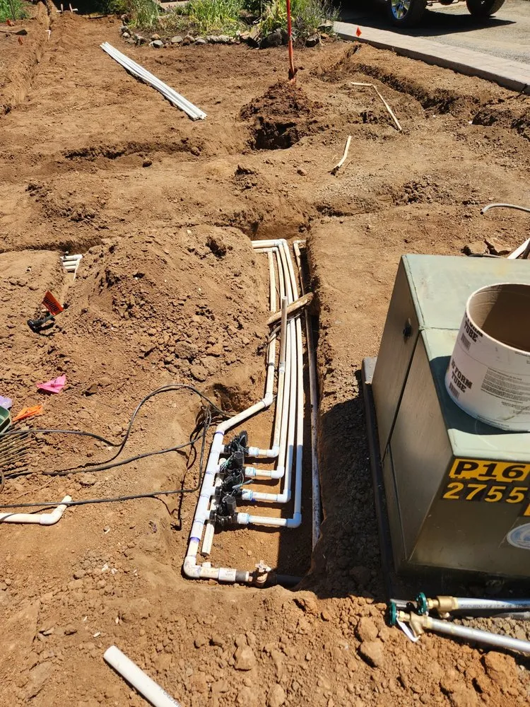 Custom yard cleanup service in Eugene, OR by Rexius