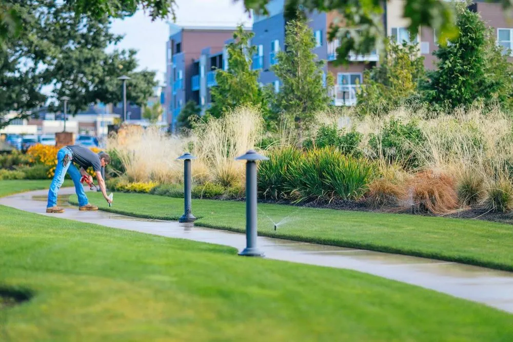 Top-rated landscape installation for residential properties across Eugene, OR - Rexius