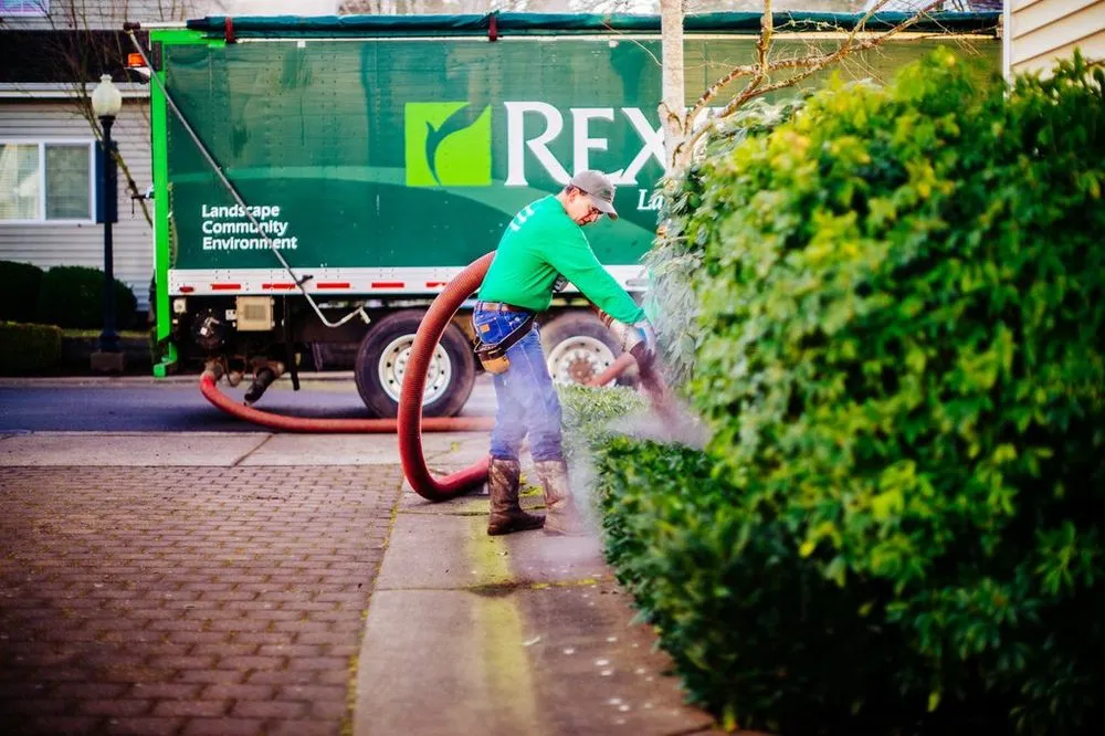 Expert yard cleanup service in Lake Oswego, OR by Rexius