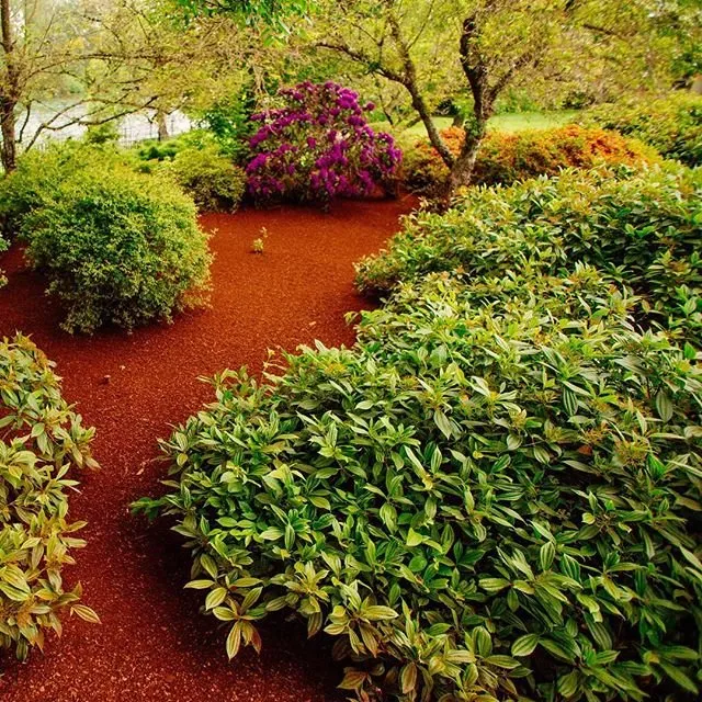 Professional yard maintenance for beautiful yards in Lake Oswego, OR by Rexius
