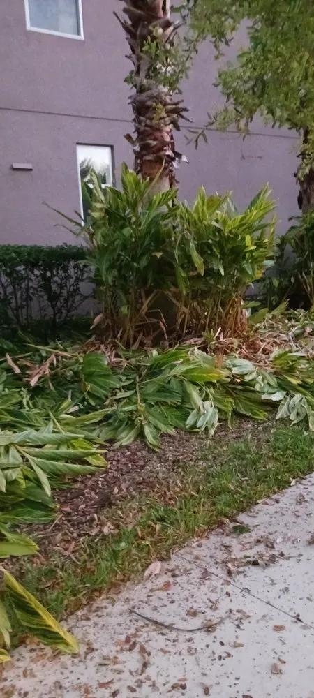 Professional garden landscaping for homes in Winter Springs, FL by Rexx Management