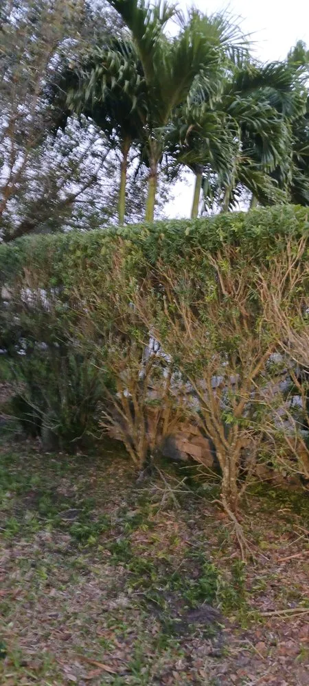 Trusted outdoor landscaping with custom design across Winter Springs, FL - Rexx Management