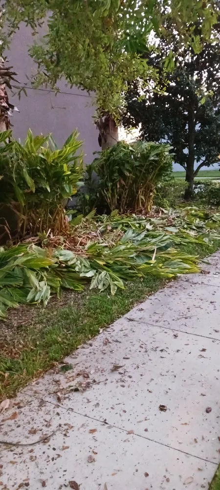 Reliable landscaping services for beautiful yards across Winter Springs, FL - Rexx Management