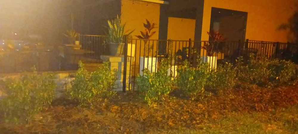 Custom garden landscaping experts serving Winter Springs, FL - Rexx Management