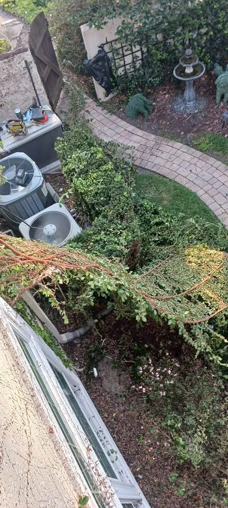 Trusted residential landscaping for year-round maintenance across Winter Springs, FL - Rexx Management