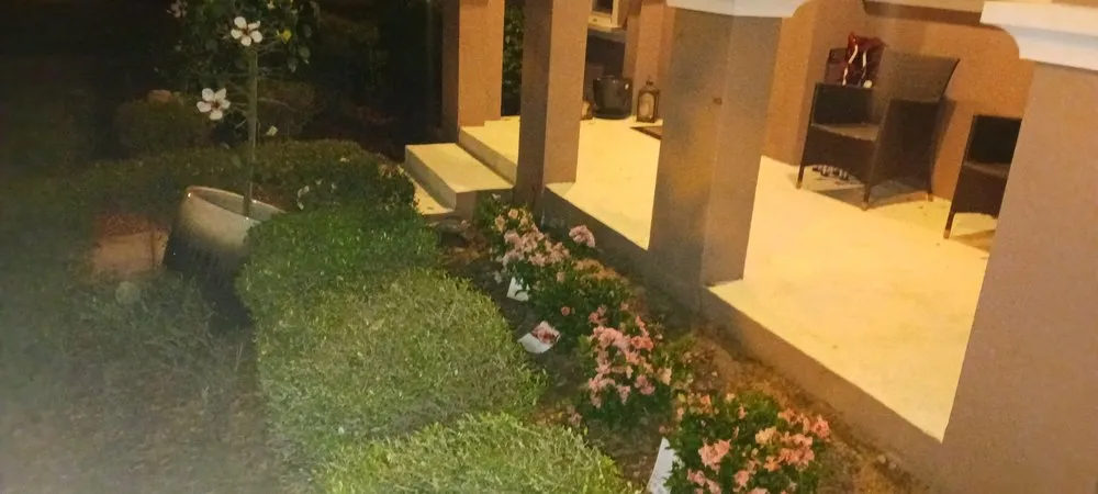 Affordable landscape installation experts serving Winter Springs, FL - Rexx Management