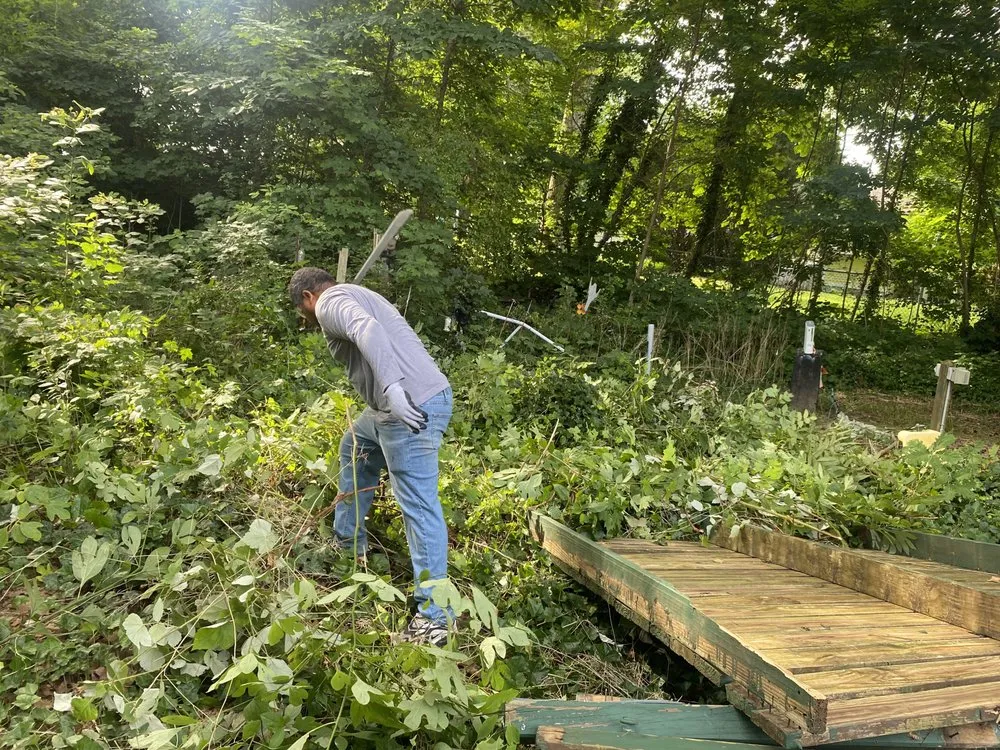 Professional lawn mowing service in New Haven, CT - Rey & Son Reliable Lawn Care