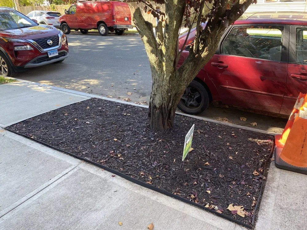 Affordable lawn mowing service in New Haven, CT - Rey & Son Reliable Lawn Care