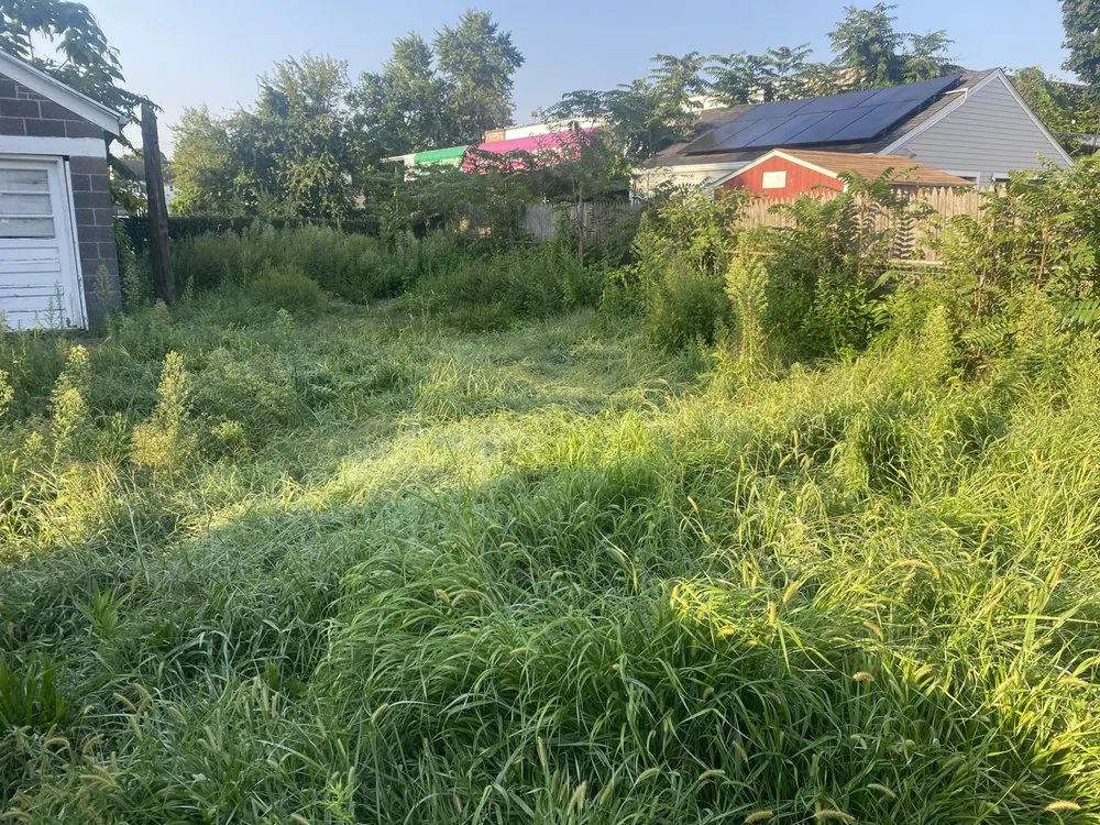 Local lawn care service for outdoor upgrades in New Haven, CT by Rey & Son Reliable Lawn Care