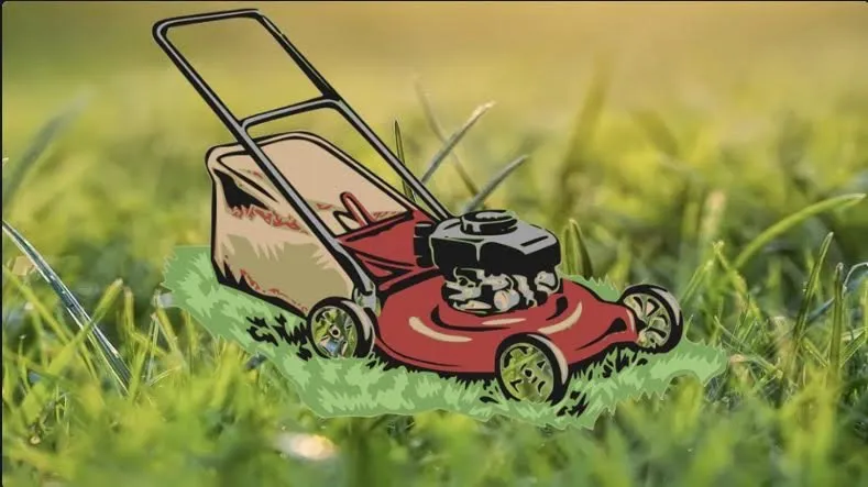 Trusted outdoor landscaping for outdoor upgrades across New Haven, CT - Rey & Son Reliable Lawn Care