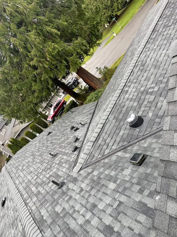 Affordable yard maintenance experts serving Lynnwood, WA - Rey Antonio Remodeling Services