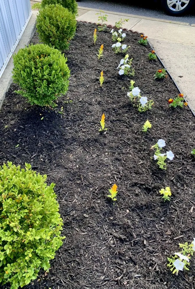 Reliable landscape design for homes in Lakewood, NJ by Rey Perez Landscaping