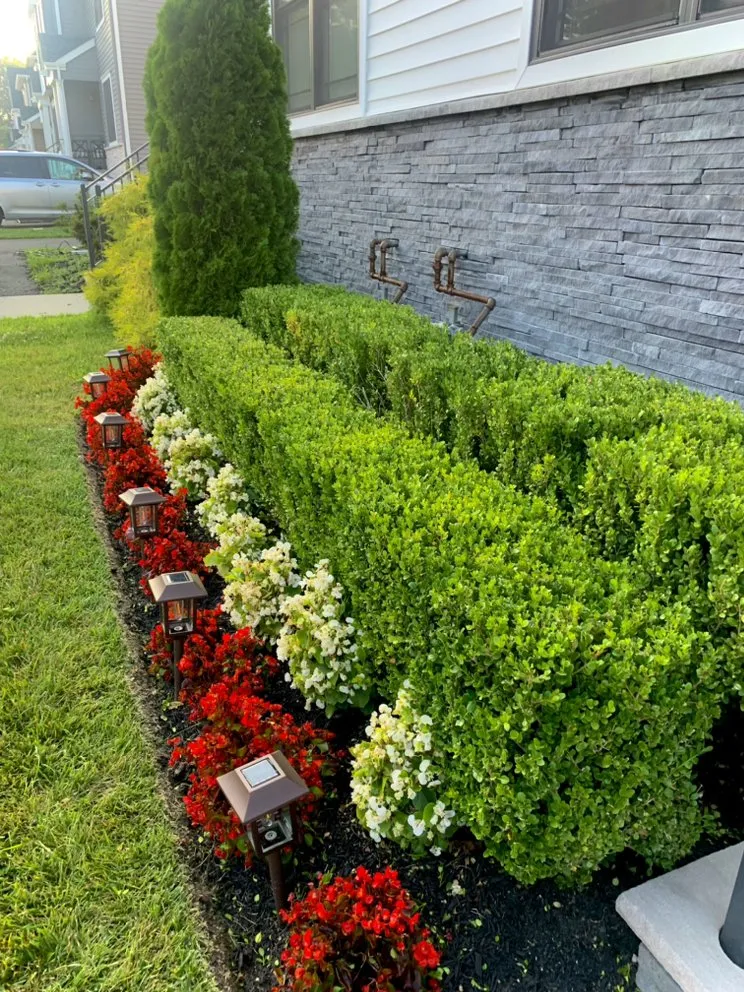 Professional residential landscaping for year-round maintenance across Lakewood, NJ - Rey Perez Landscaping