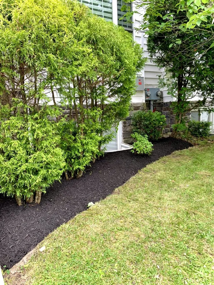 Top-rated landscape design experts serving Lakewood, NJ - Rey Perez Landscaping