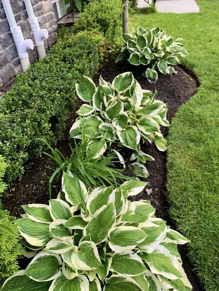 Local lawn care service experts serving Lakewood, NJ - Rey Perez Landscaping