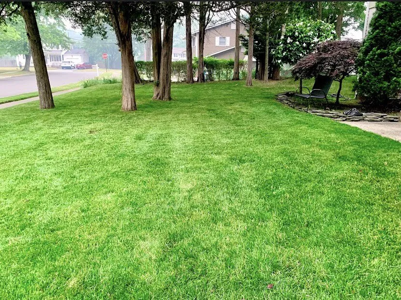 Trusted residential landscaping in Lakewood, NJ by Rey Perez Landscaping