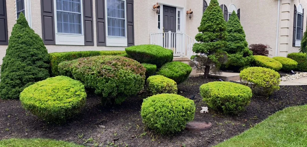 Affordable outdoor landscaping experts serving Lakewood, NJ - Rey Perez Landscaping