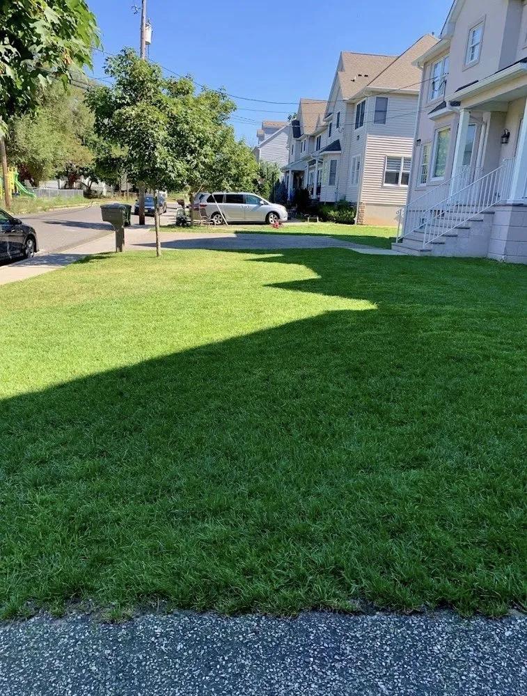 Top-rated lawn care service in Lakewood, NJ - Rey Perez Landscaping