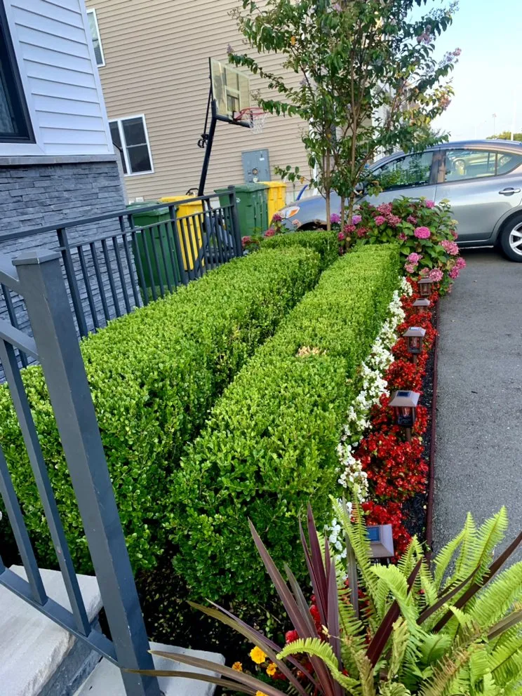 Top-rated residential landscaping in Lakewood, NJ by Rey Perez Landscaping