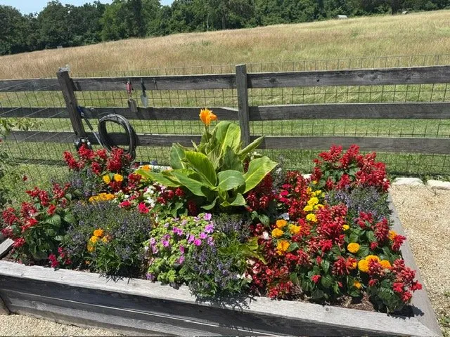 Affordable lawn care service for beautiful yards across Waller, TX - Rey Rivera Irrigation