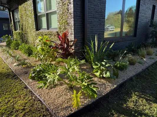 Rey Rivera Irrigation