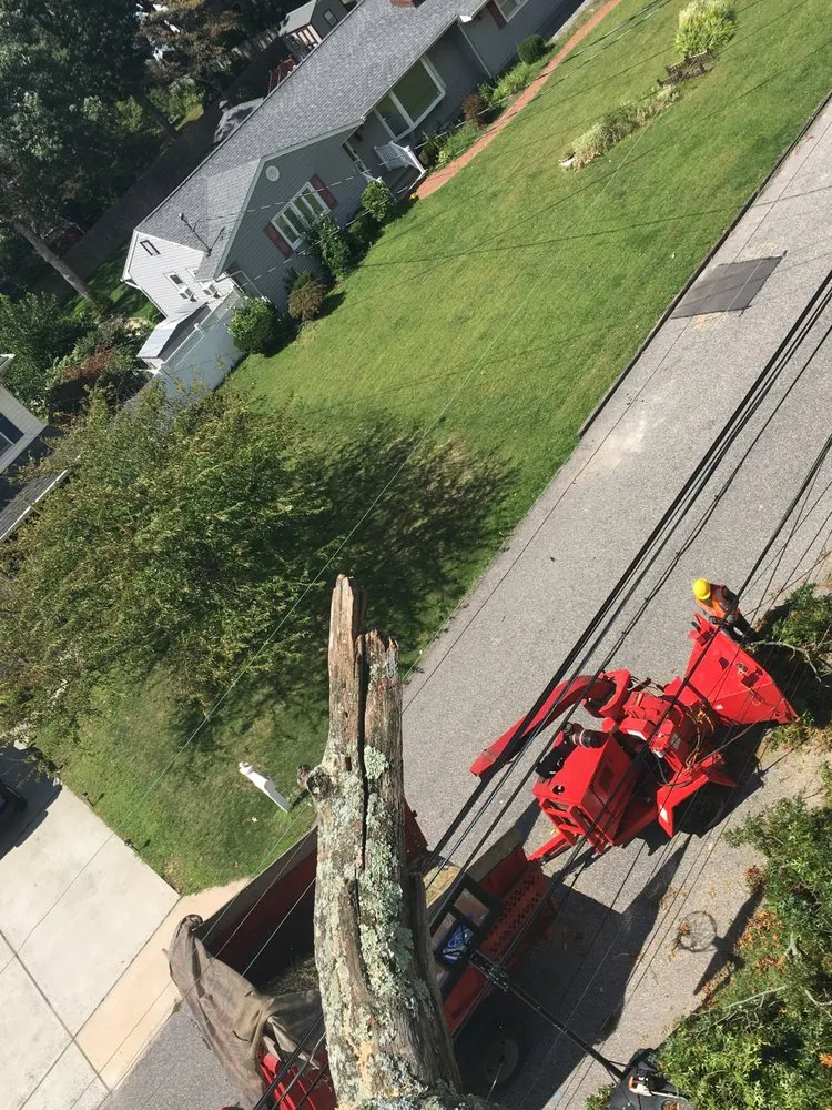 Reliable yard cleanup service experts serving Bay Shore, NY - Reyes & Melgar Landscaping