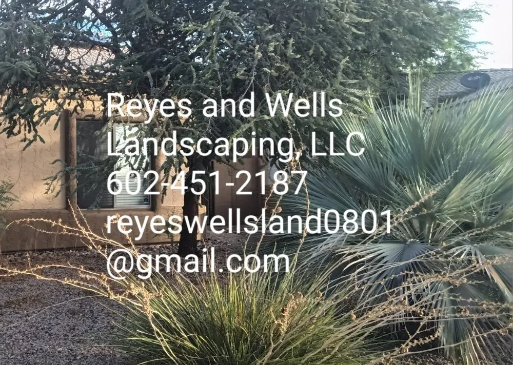 Professional garden landscaping in Phoenix, AZ by Reyes And Wells Landscaping