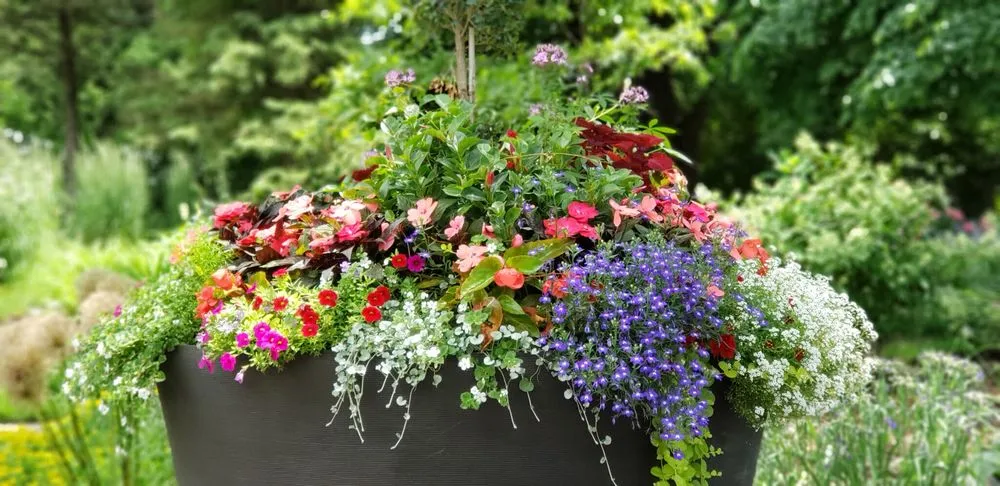 Expert lawn mowing service in Waukegan, IL - Reyes Brothers Landscaping