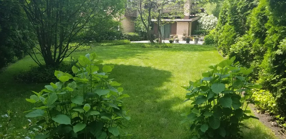 Custom landscape design in Waukegan, IL by Reyes Brothers Landscaping