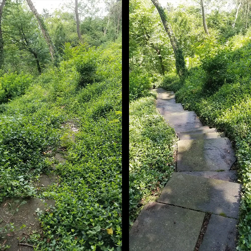 Custom landscape installation for homes in Waukegan, IL by Reyes Brothers Landscaping