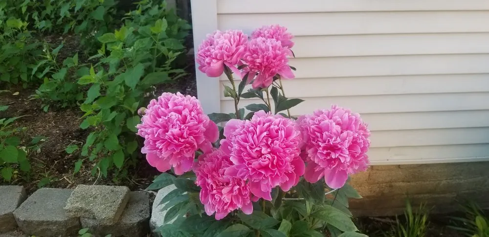 Trusted landscape design experts serving Waukegan, IL - Reyes Brothers Landscaping