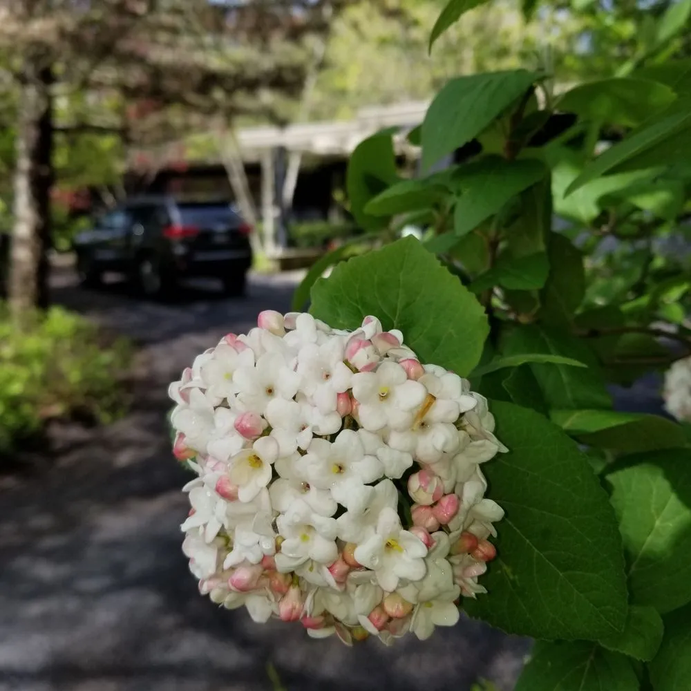 Local outdoor landscaping near you in Waukegan, IL by Reyes Brothers Landscaping