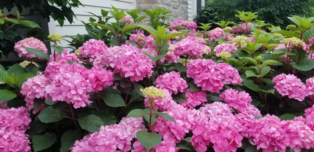 Affordable landscape design with custom design across Waukegan, IL - Reyes Brothers Landscaping