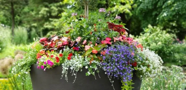 Reyes Brothers Landscaping Logo