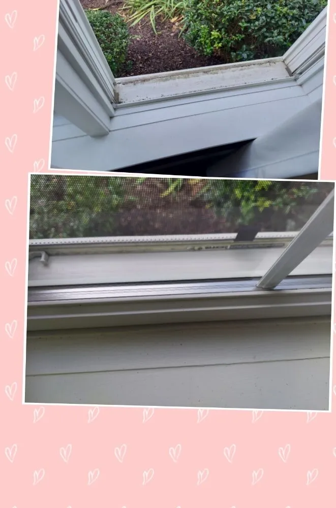 Trusted landscape design experts serving Coplay, PA - Reyes Cleaning Service