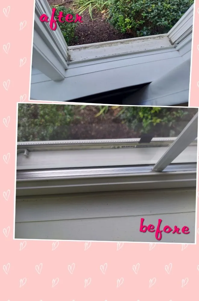 Local garden landscaping for year-round maintenance across Coplay, PA - Reyes Cleaning Service