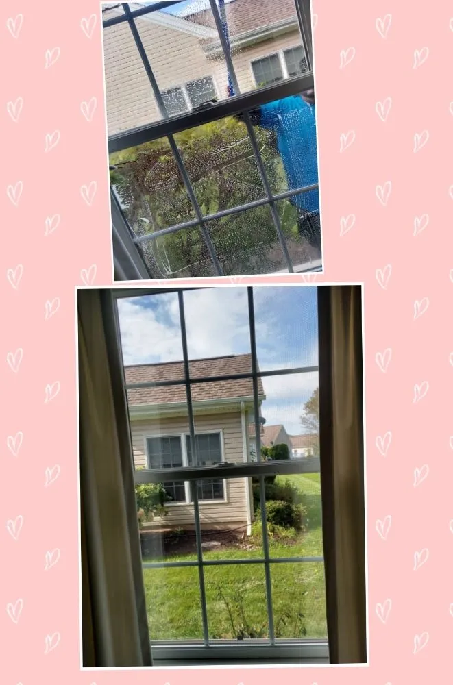 Custom landscaping services in Coplay, PA by Reyes Cleaning Service