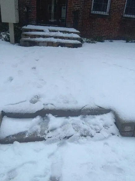 Trusted residential landscaping for beautiful yards across Temple Hills, MD - Reyes Cleaning Service