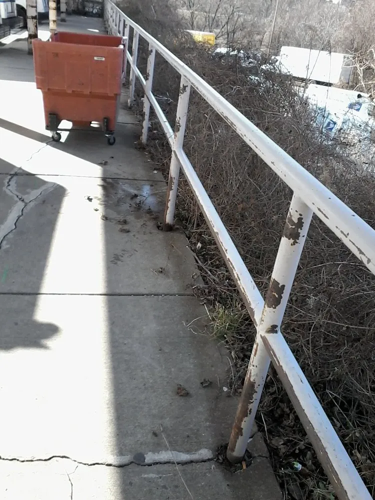 Professional yard cleanup service in Temple Hills, MD - Reyes Cleaning Service