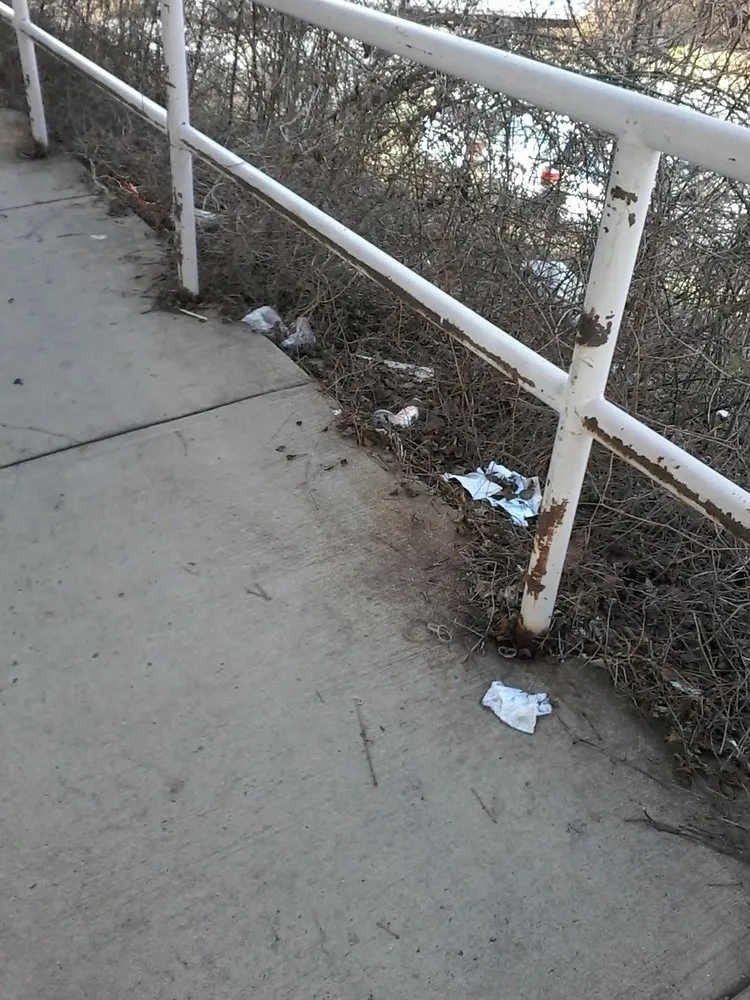 Trusted landscaping services near you across Temple Hills, MD - Reyes Cleaning Service