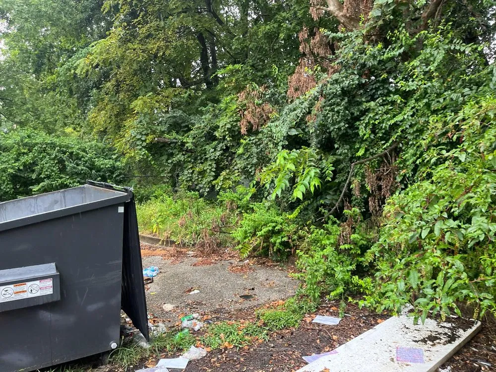 Local lawn care service in Saint Louis, MO by Reyes Construction