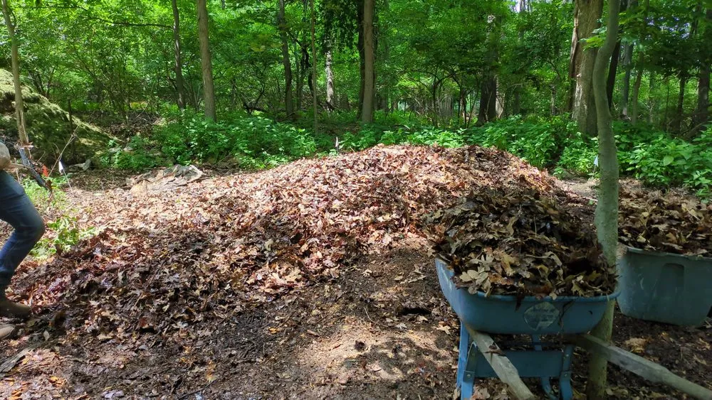 Professional yard maintenance experts serving Saint Louis, MO - Reyes Construction