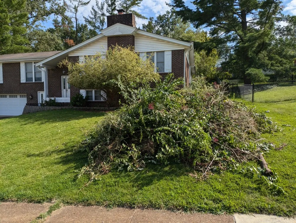 Professional landscaping services experts serving Saint Louis, MO - Reyes Construction