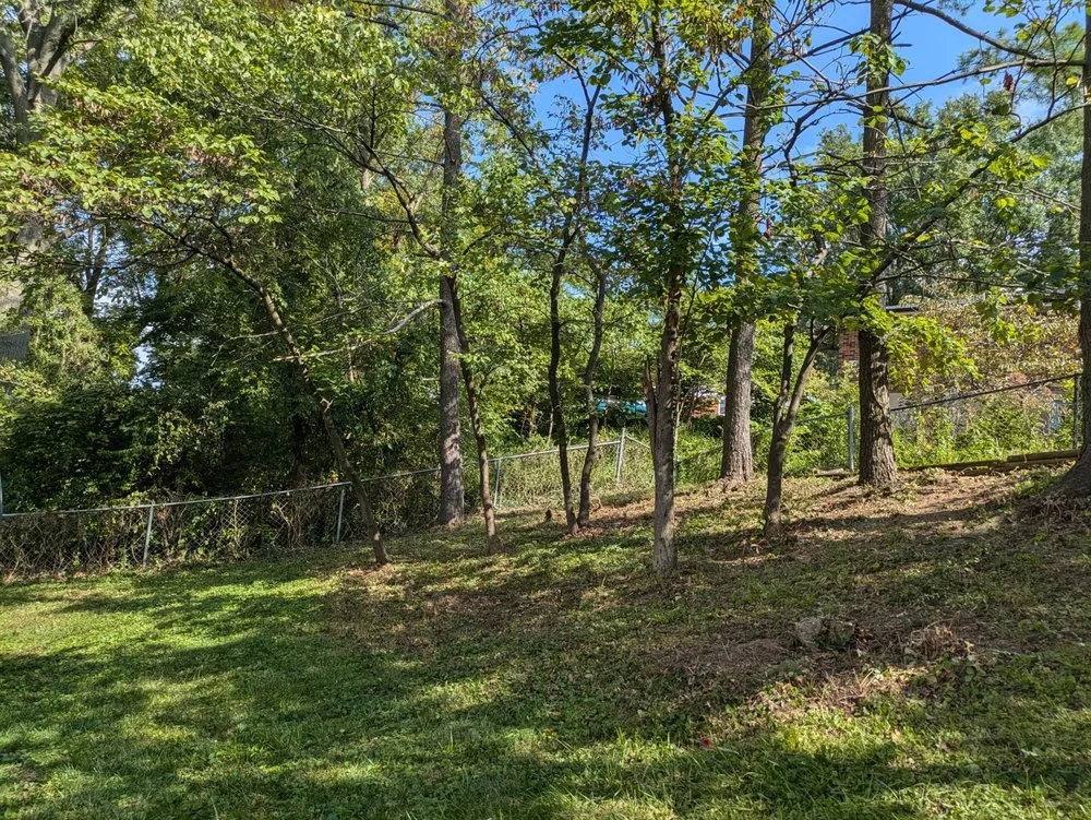 Top-rated landscape installation in Saint Louis, MO - Reyes Construction