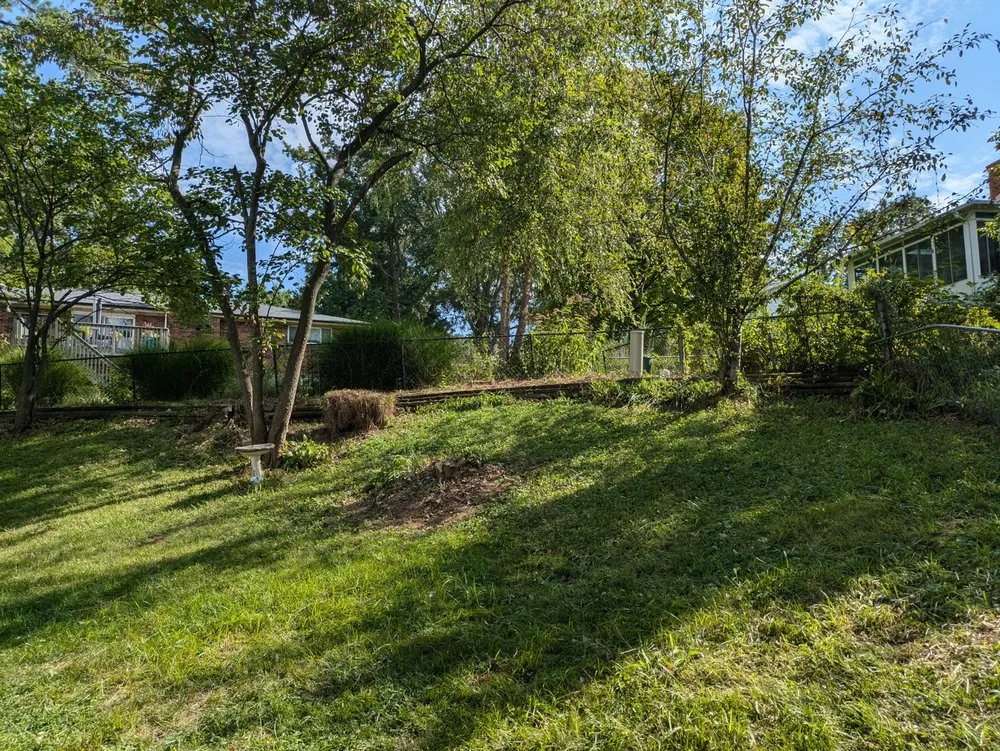 Trusted yard cleanup service in Saint Louis, MO by Reyes Construction