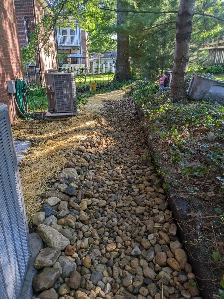 Expert yard cleanup service in Saint Louis, MO - Reyes Construction